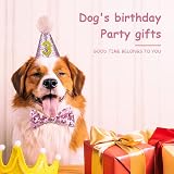Fantasyon Dog Cat Birthday Hat with Bow Tie Pink Adjustable Reusable Party view 5
