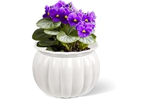 LITUDISO African Violet Pots, Self-Watering Ceramic Planter – 6 Inch Pot for Indoor Plants, Succulents, Herbs & Small Houseplants, Simple Self-Watering Design for Home & Office Décor, White