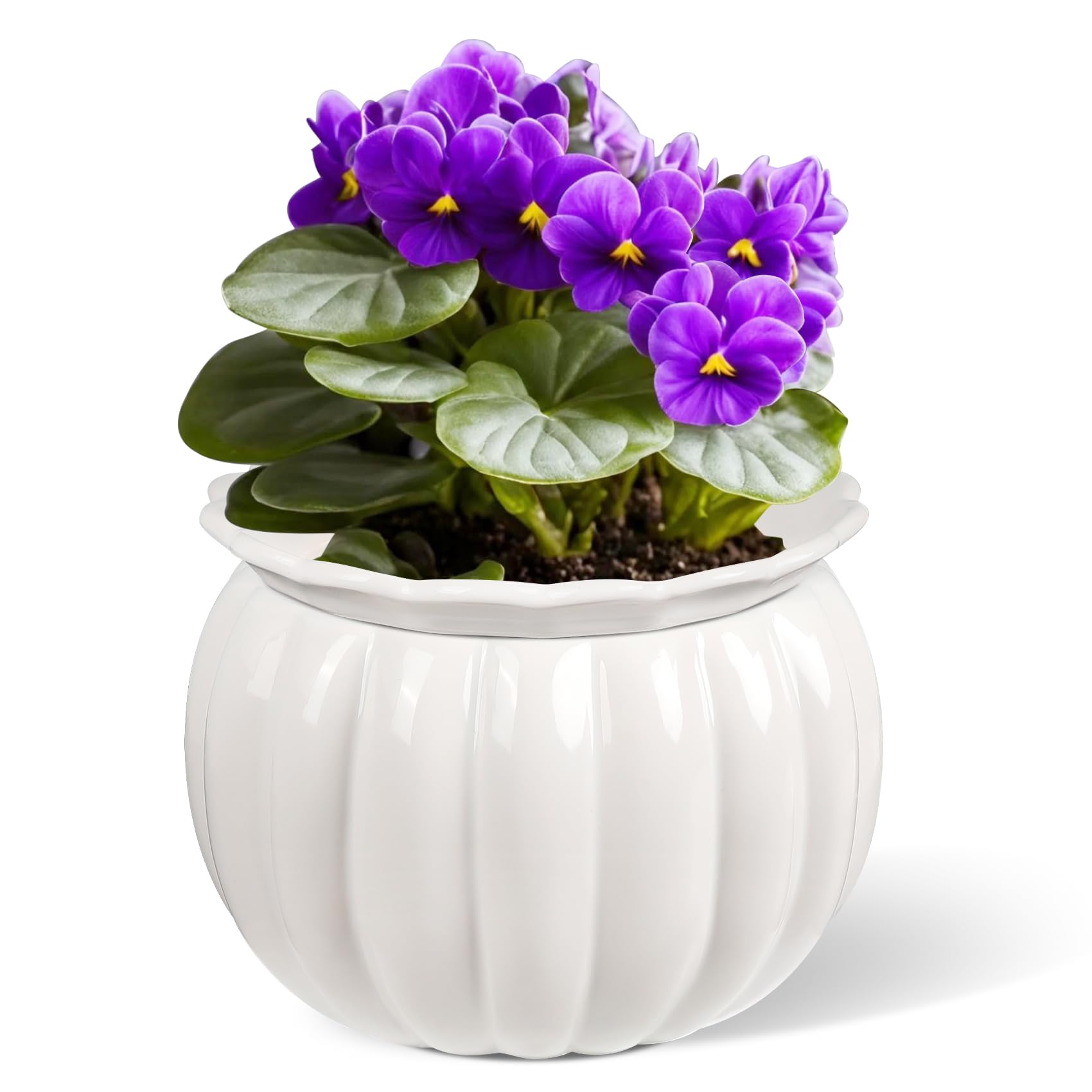 Photo 1 of LITUDISO African Violet Pots, Self-Watering Ceramic Planter – 6 Inch Pot for Indoor Plants, Succulents, Herbs & Small Houseplants, Simple Self-Watering Design for Home & Office Décor, White