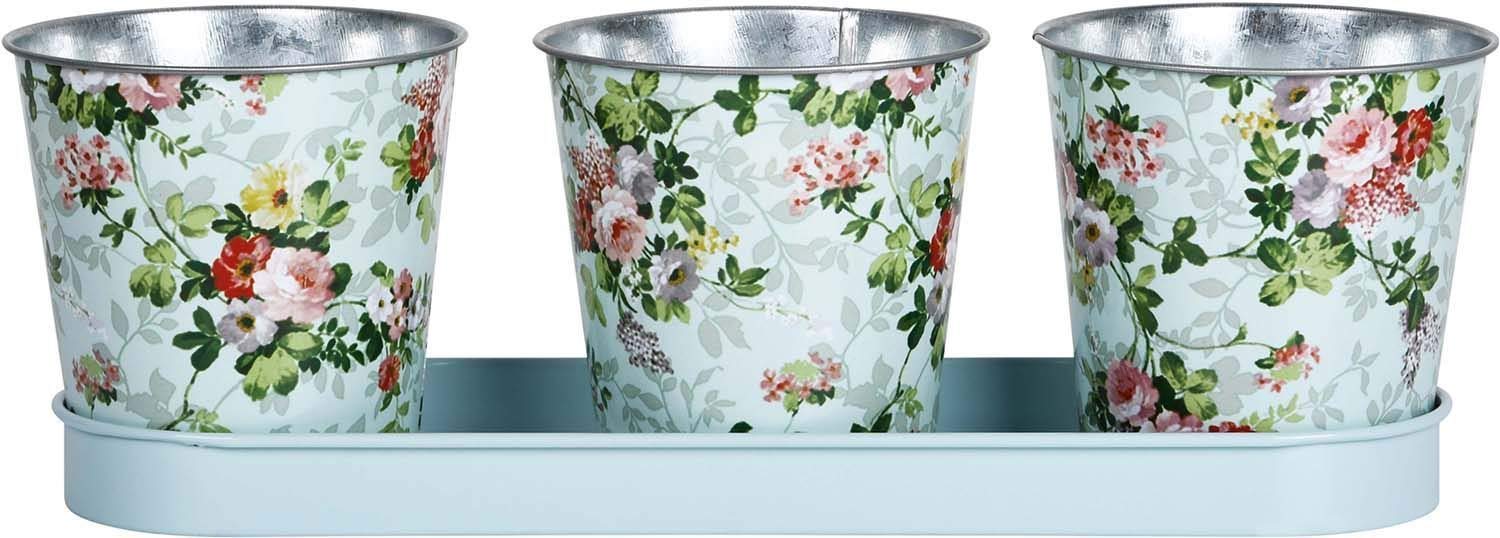 Fallen Fruits Ltd 3 Pots on Tray (Rose)