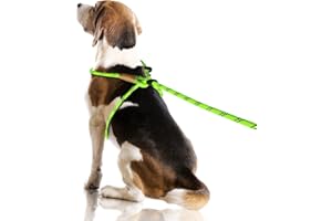 Lynxking No Pull Rope Dog Harness No Pull Reflective Leash Harness Collar 3 in 1 Dog Halter Harnesses Adjustable for Large Giant Dog (Light Green, Large 1/2 inch)