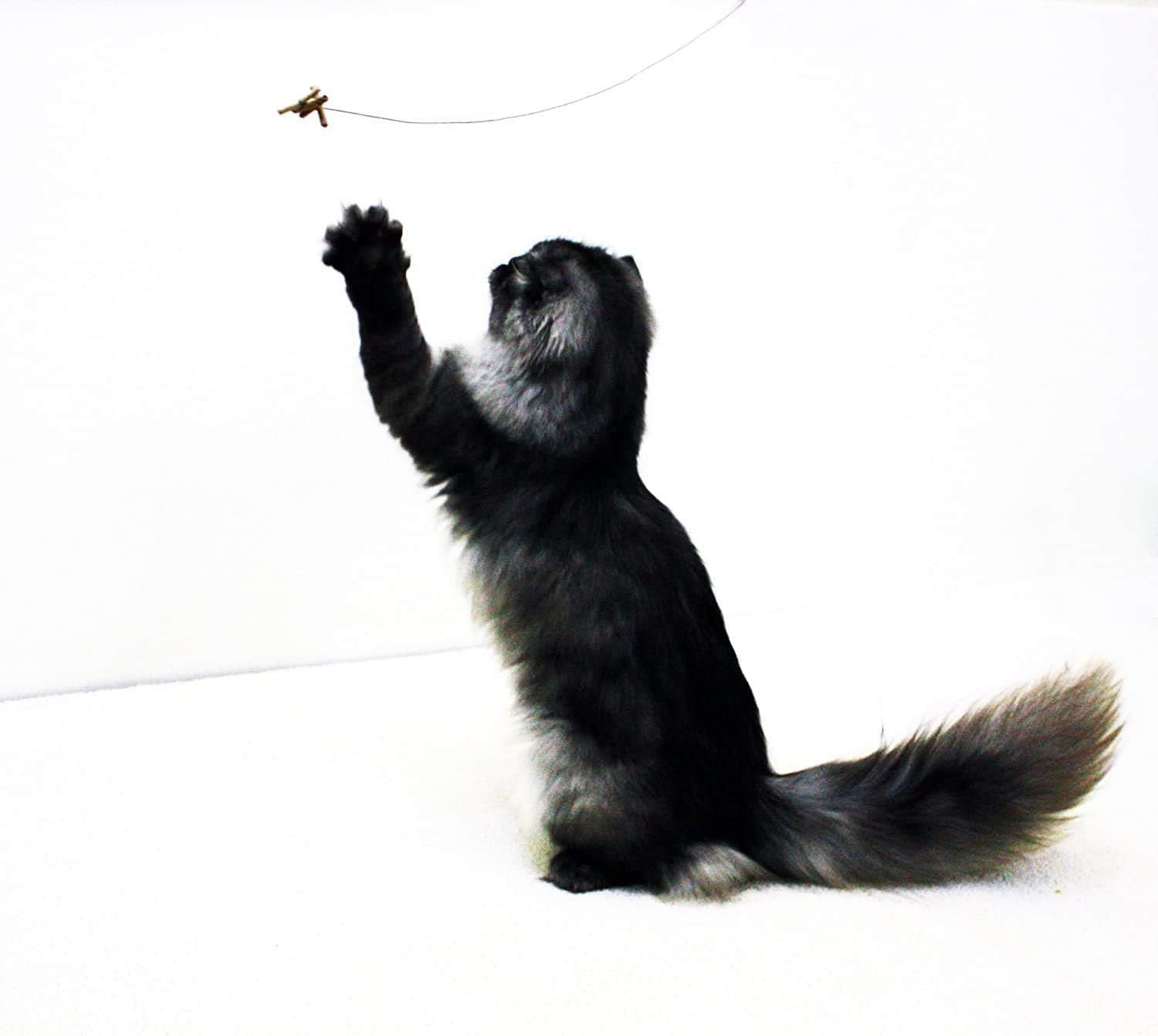 Cat Dancer 101 Cat Dancer Interactive Cat Toy : Catnip Toys : Pet Supplies