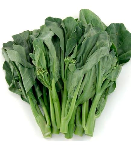 Chinese Broccoli Seeds (Gai Lan) – Wan Shen Yu Choy, 2025 Harvest, Asian Vegetable