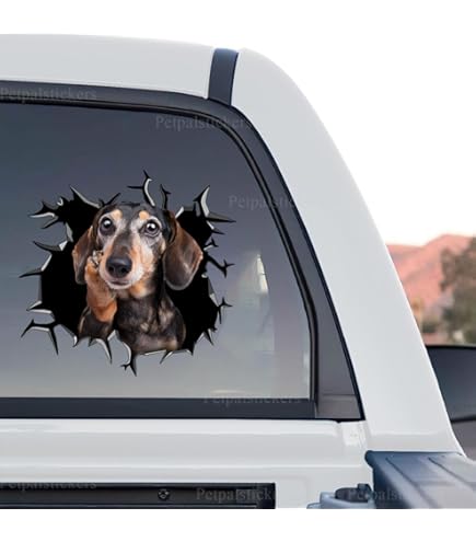 3D Chihuahua Reading Dog Window Decal - 11.81" Funny Cracked Glass Vinyl Sticker