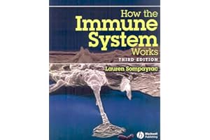How the Immune System Works