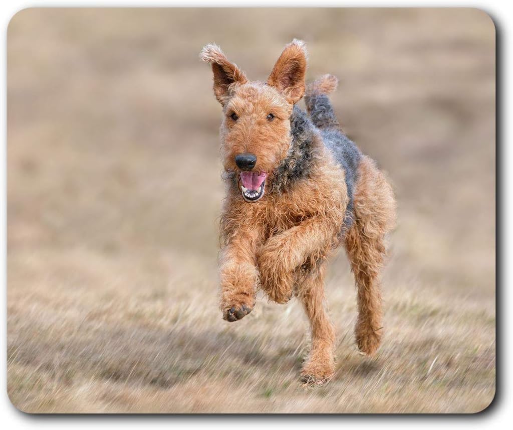 Airedale Terrier Dog Puppy Mouse Mat Pad Computer PC Laptop Gaming Office Home Desk Accessory Gadget 12469