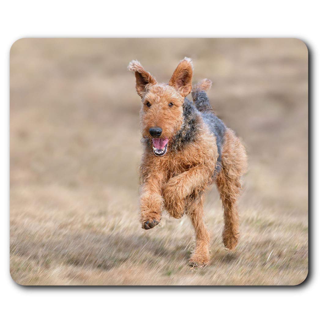 Airedale Terrier Dog Puppy Mouse Mat Pad Computer PC Laptop Gaming Office Home Desk Accessory Gadget 12469