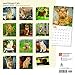 Ginger Cats 2018 Calendar