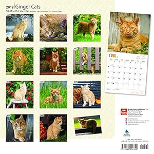 Ginger Cats 2018 12 x 12 Inch Monthly Square Wall Calendar,Animals Cats Ginger