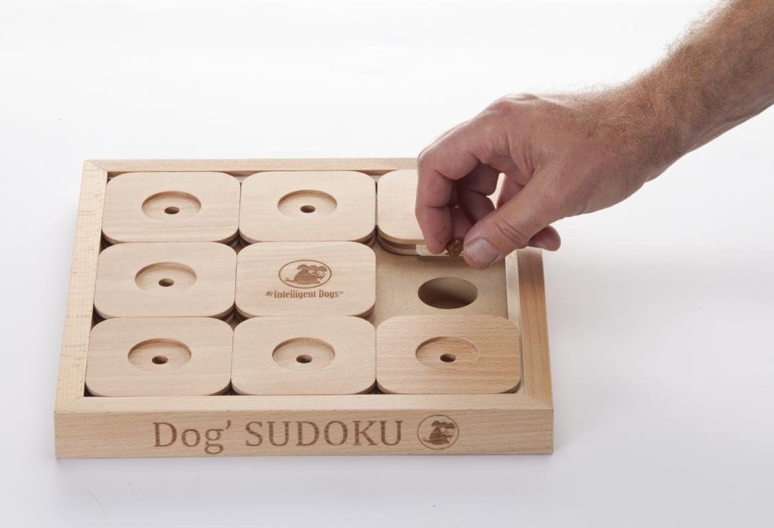 sudoku dog