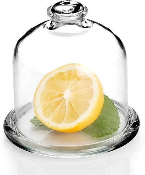 pasabahce basic glass lemon keeper dishware serving pieces tableware seafoodevolution com