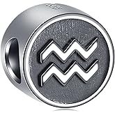 GLOWDAS Zodiac Sign Charms fit European Birthday Bracelet, Antique 925 Sterling Silver 12 Constellation Charm Beads, Gifts for Family/Lover/Friends