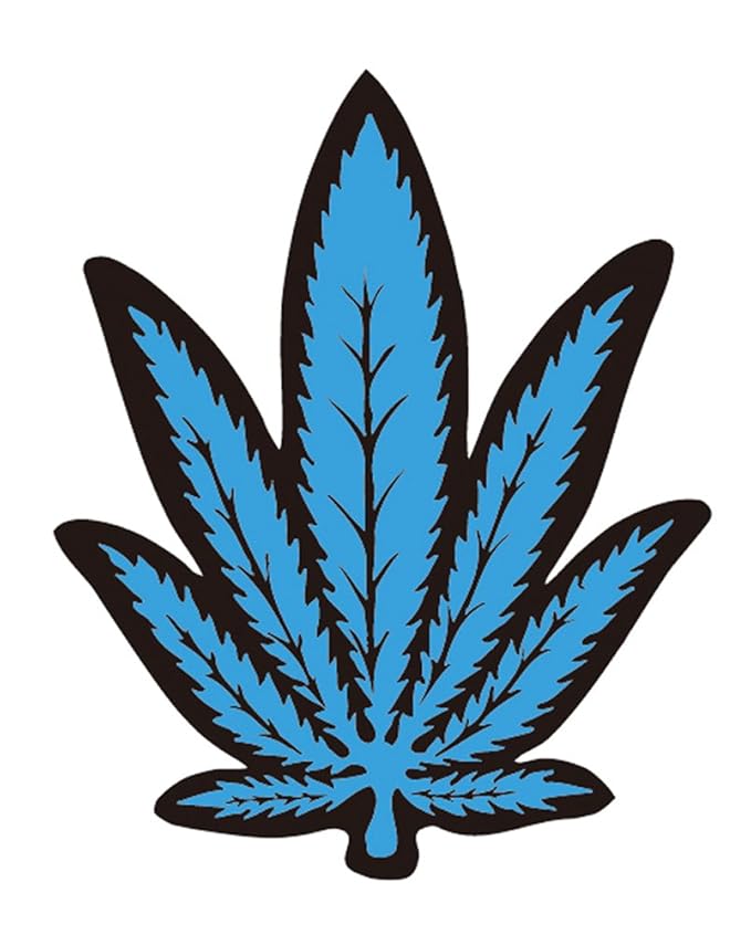 Dqn 車 大麻 名前
