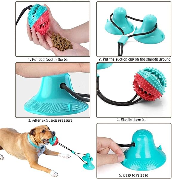 BETTER BELLY HIGHLY DIGESTIBLE RAWHIDE DENTAL CHEWS, TREAT YOUR DOG TO A CHEW WITH NO ARTIFICIAL COLORS OR FLAVORS 4 COUNT (PACK OF 1)