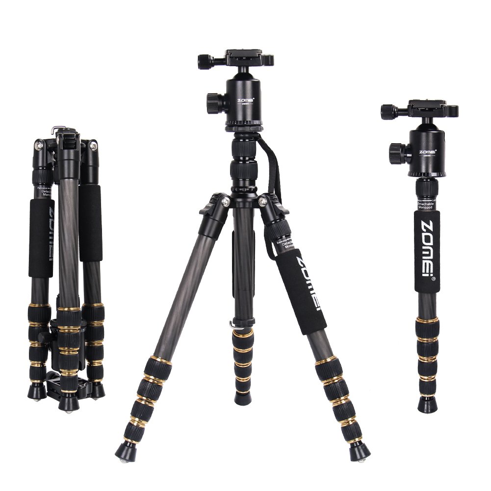 10 Best Tripods for Real Estate Photography Review by Experts