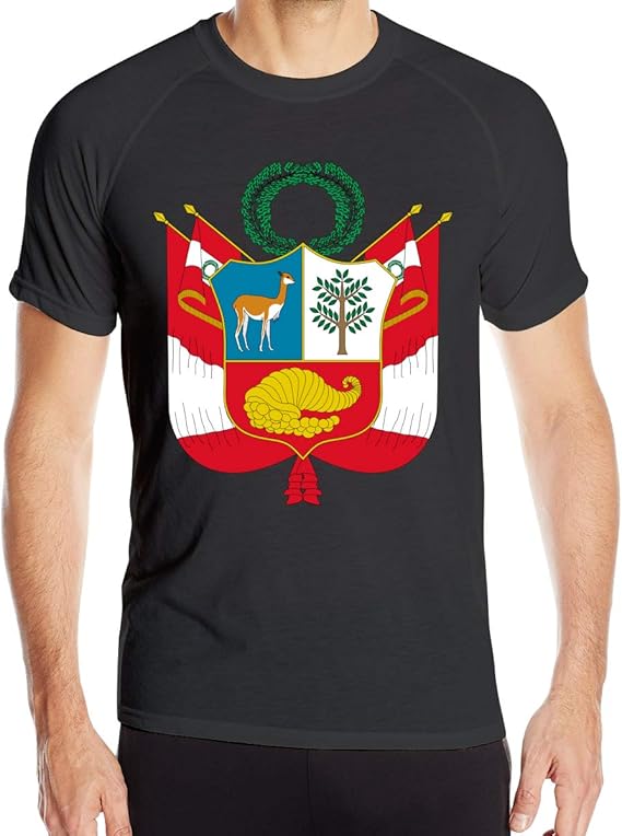 Amazon Co Jp メンズ Tシャツ 南アフリカ共和国国旗の紋章 カットソー トップス 吸汗速乾 スポーツウエア ファッション