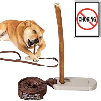 Amazon Com Bully Stick Companion Locks Onto Bully Stick