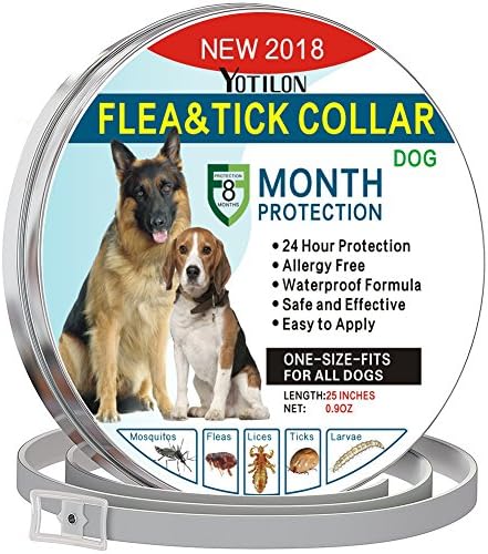 YoTilon Flea and Tick Collar for Dog，Waterproof Flea Control for Dogs and Cats（8 Months Protection） Pet Essential Oil Pest Control Collars, Flea Treatment One Size Fits All Dogs (flea tick collar)