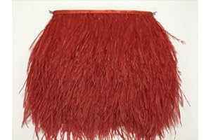 ADAMAI Natural Ostrich Feathers Trims Fringe DIY Dress Sewing Crafts Costumes Decoration Pack of 2 Yards (red)