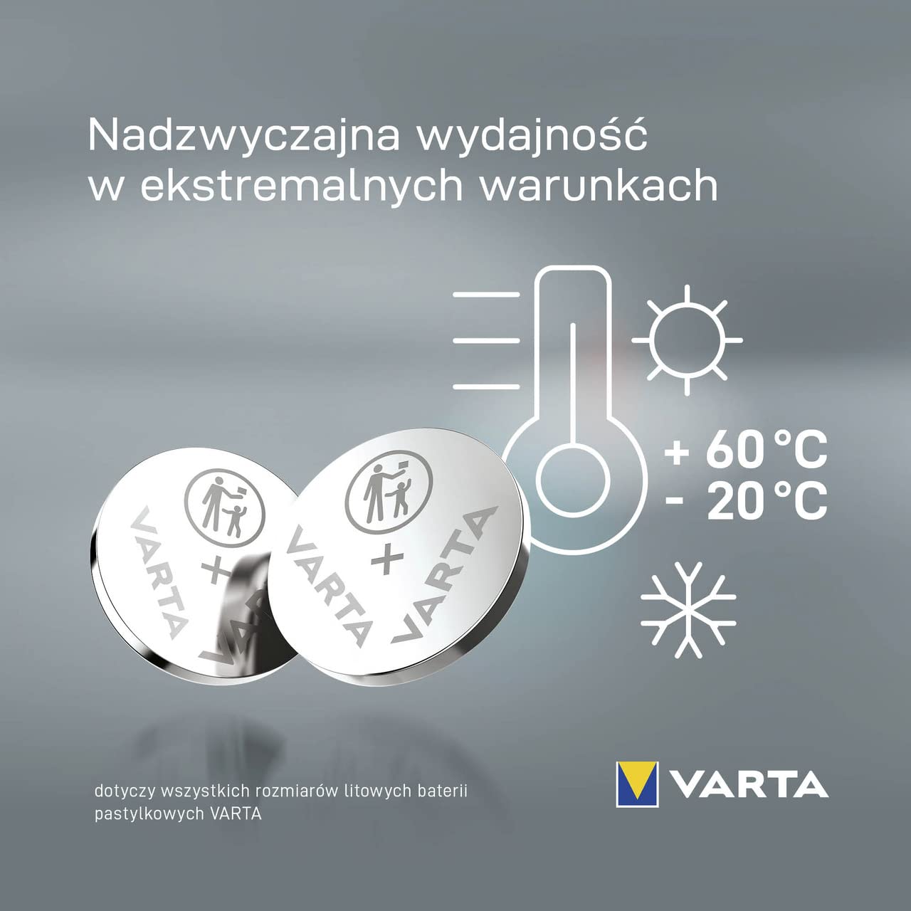 Carpriss 79012016 - Gerätebatterie (Packung mit 2) 2