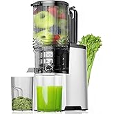 EanOruus Cold Press Juicer, 5.8" Wide Feed Chute Juice Extractor Machine with 400W, High Juice Yield, Slow Masticating Juicer for Whole Vegetables & Fruits, Metallic Silver