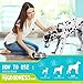 Fur Goodness Sake Kennel Cough Medicine for Dogs - Organic Dog Cough Medicine for Colds & Allergies - Natural Kennel Cough Treatment with Mullein Leaf & Elderberry