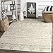 SAFAVIEH Adirondack Collection Accent Rug - 4' x 6', Ivory & Silver, Rustic Boho Design, Non-Shedding & Easy Care, Ideal for High Traffic Areas in Entryway, Living Room, Bedroom (ADR107B)
