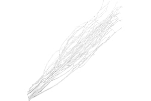 Beavorty 10pcs White Birch Dried Twig Decor 50cm Natural Tree Branches Vase Filler Home Ornament