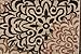 New City Contemporary Brown and Beige Modern Floral Flowers Area Rug, 5 feet by 8 feet