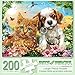 Bits and Pieces – Jigsaw Puzzle for Adults – Kitten & Puppy - Cute Baby Animals Dog Cat Jigsaw Puzzle by Adrian Chesterman, Completed Puzzle Size: 15