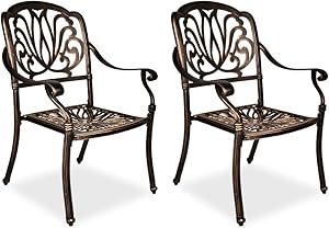 TITIMO 2 Piece Outdoor Bistro Dining Chair Set Cast Aluminum Dining Chairs for Patio Furniture Garden Deck Antique Bronze