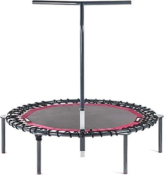 tiguar Mini trampolín 133 cmØ Jumping Fitness Grupo Gimnasio ...
