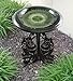 Tierra Birds and Beyond 4-8181T Gloss Bird Bath Bowl with Gloss Rim, Hunter Green