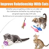 Speedy Panther 14 Pack Interactive Cat Toys Indoor Kitten Toy Set view 3