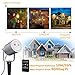 TaoTronics TT-SL209 Christmas Outdoor Light Halloween, Holiday Decoration, Class Ⅲ-A Laser Projector with 6 Automated Patterns, Wireless Remote, IP65 Waterproof, FDA Approved