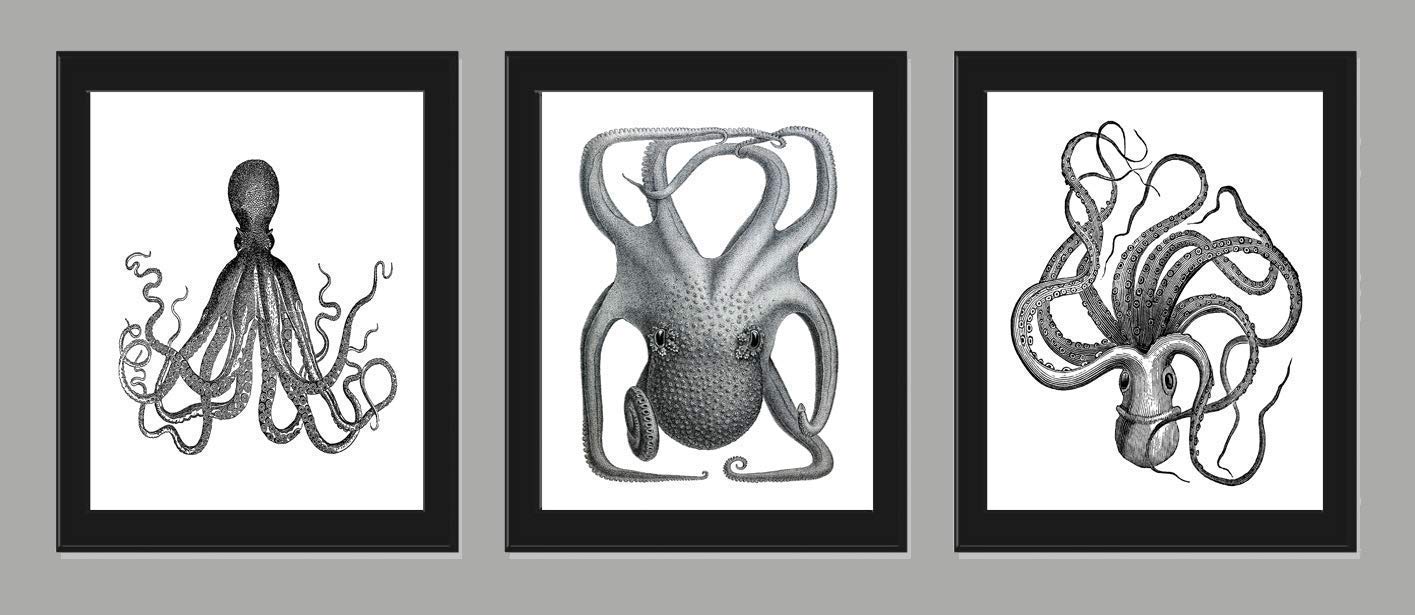 Which Is The Best Squid Home Decor