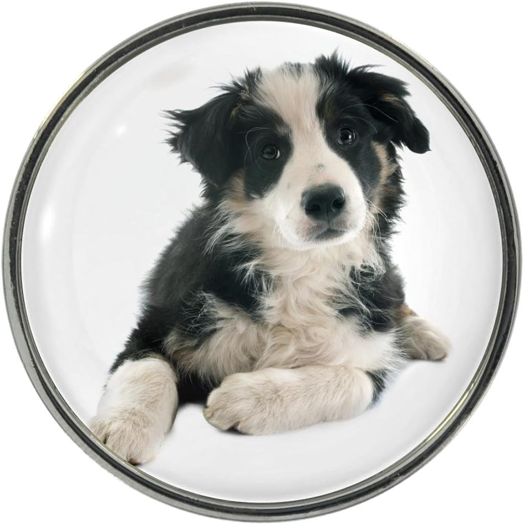 Amazon Com Black And White Border Collie Puppy Image Metal 25mm