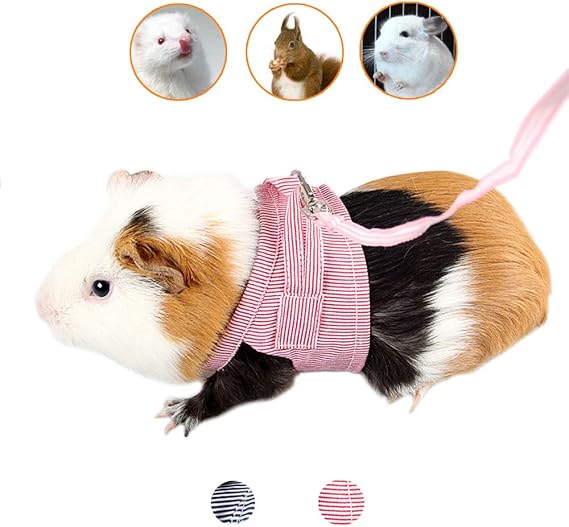 Imbracatura E Guinzaglio Per Conigli E Piccoli Animali - Taglia S, Arancione - Foto 2