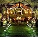 Escolite G40 String Lights Indoor Outdoor for Wedding Lights, Bedroom Lighting, Patio Lights Green