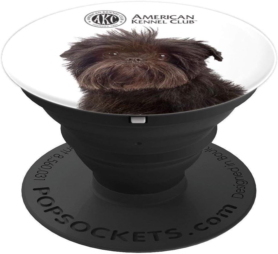 affenpinscher akc