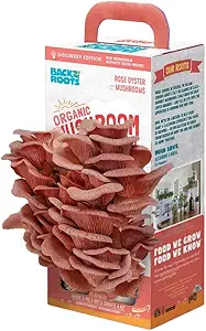 Back to the Roots Organic Pink Grow Kit, Harvest Gourmet Oyster Mushrooms