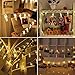 Amazlab LED Photo Clip String Lights, T2C Christmas Wedding Party Decorative Lights, Hanging Fairy Lights, 16 Photo Clips with Battery Powered, Warm White (Battery)