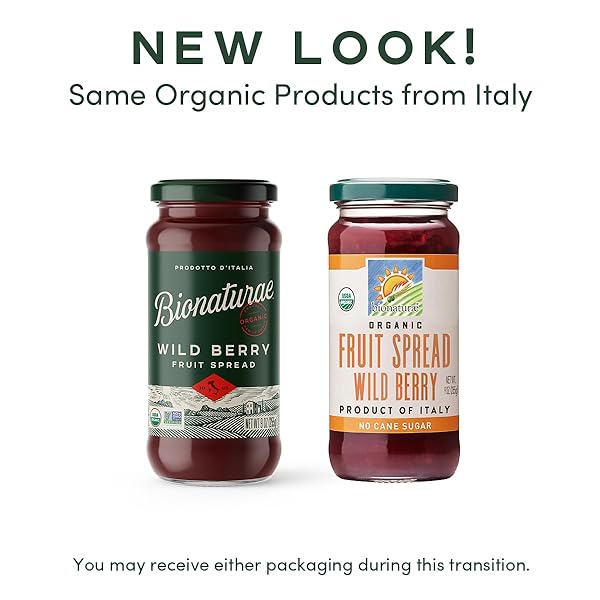 BIONATURAE ORGANIC WILD BERRY FRUIT SPREAD – JELLY ORGANIC, NON-GMO, USDA CERTIFIED, NO SUGAR ADDED, NO PRESERVATIVES, ORGANIC FRUIT JAM, JAM ORGANIC, MADE IN ITALY – 9 OZ