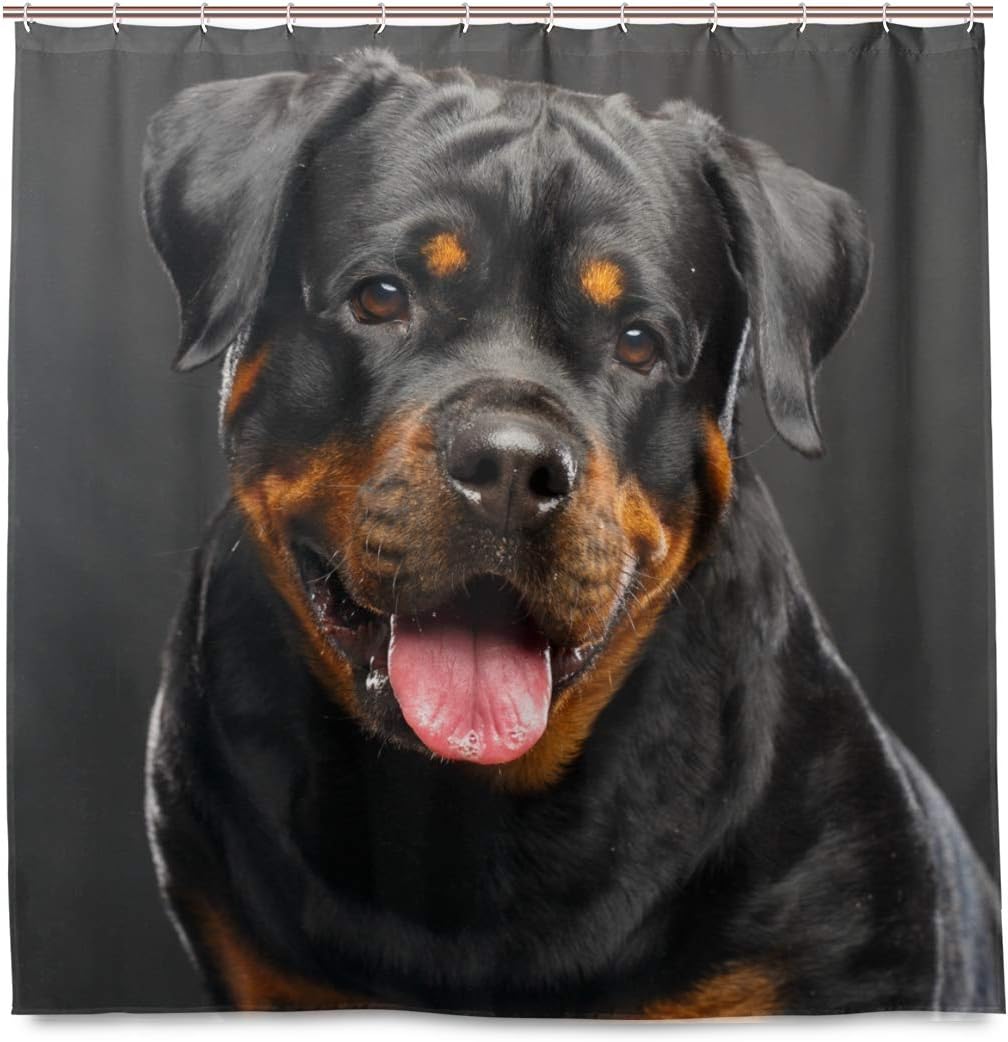 Rottweiler Dog Home Decorations Shower Curtain 72 x 72 inch Waterproof Polyester for Bathroom Shower Curtain Set with Hooks