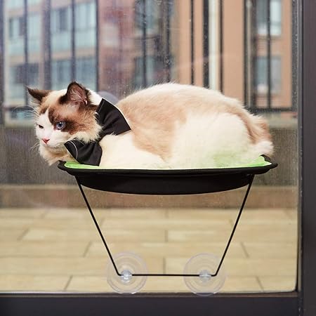 amazon cat window bed