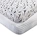 Touched by Nature 2 Piece Organic Fitted Crib Sheets, Dino, One Size
