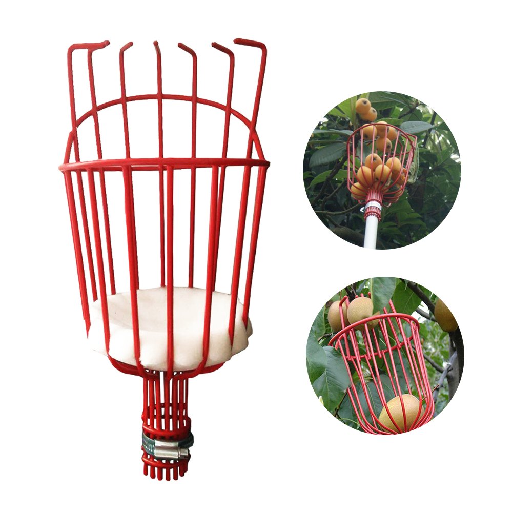 Alicer Fruit picker, light fruit picking, deep fruit catcher, gardening, high fruit tree picking tool for oranges, apple, pears, peach or all types of fruit.