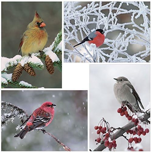 Winter Birds Holiday Card Assortment