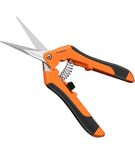 Amazon.com: Saboten Hold-free Stainless Steel Harvest