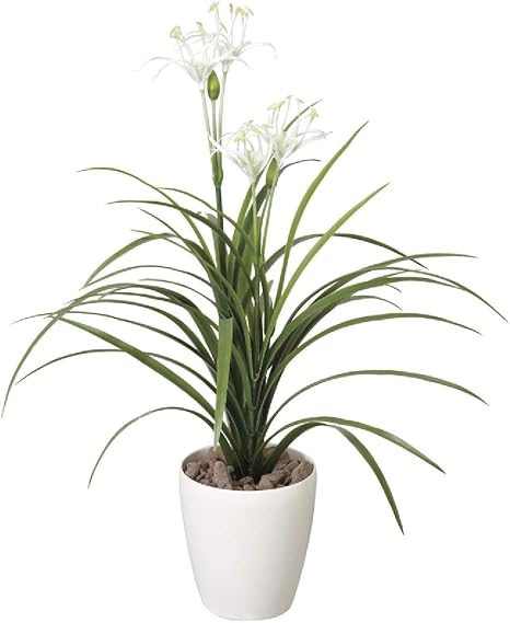 Amazon ユッカ花付 人工観葉植物 オンライン通販
